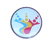 INCUCAI (pin2)