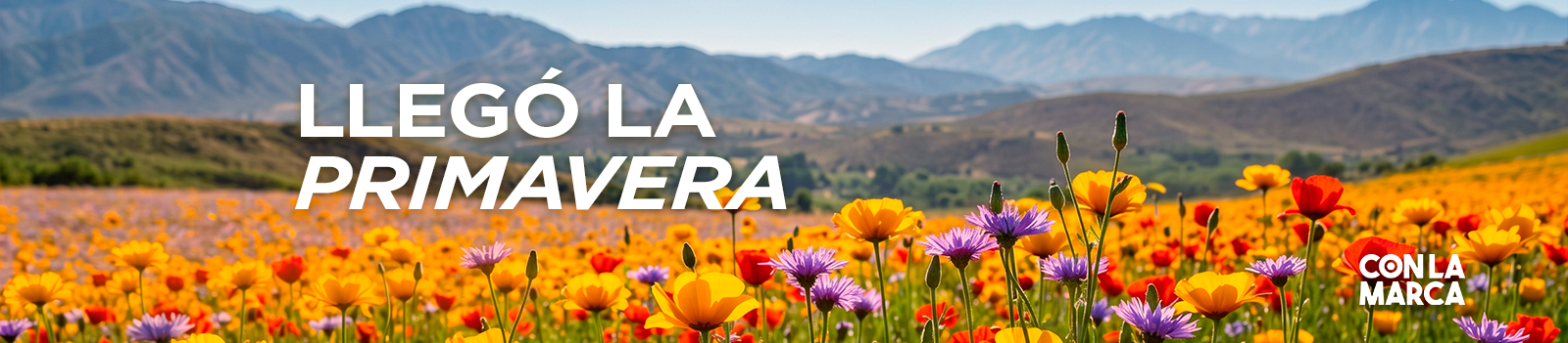 Primavera 2026